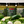 Load image into Gallery viewer, Diablo Vegan Bundle - Set of 3